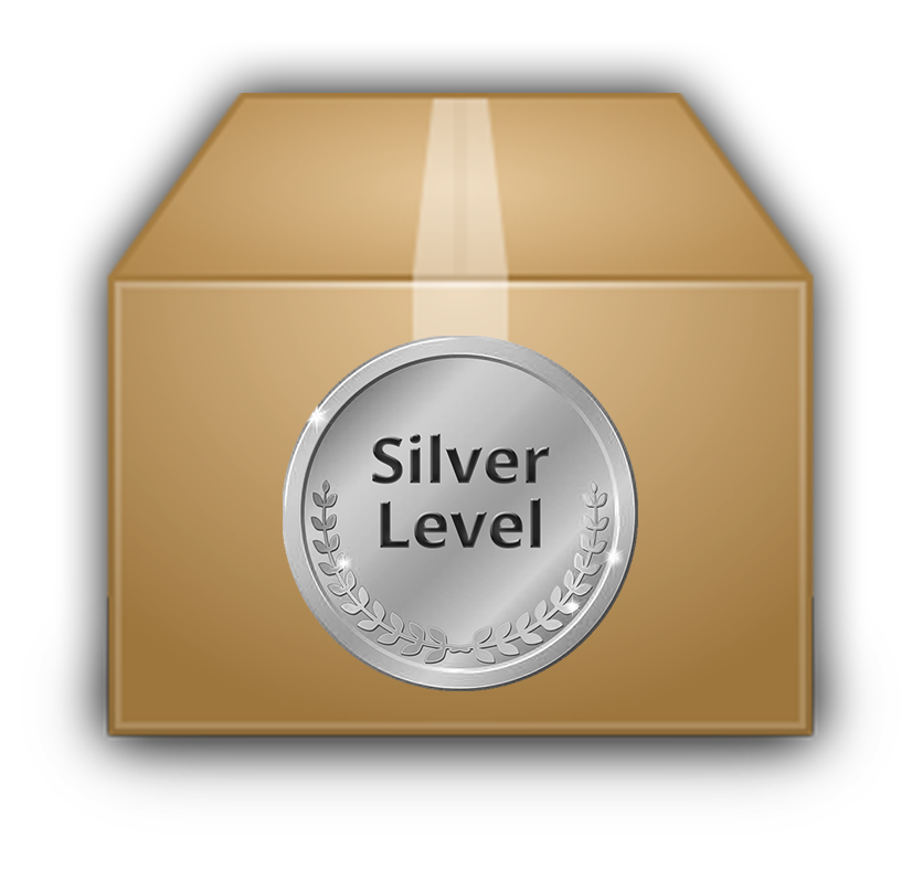 silver bundle